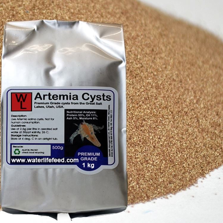 product-1-1 brine shrimp eggs