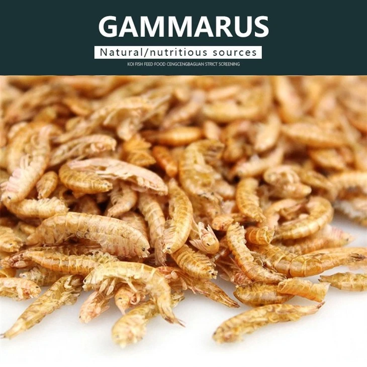 Freeze Dried Gammarus