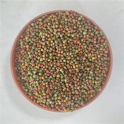 OEM Siberian Rubythroatl Bird Feed suppliers OEM Siberian Rubythroatl Bird Feed suppliers